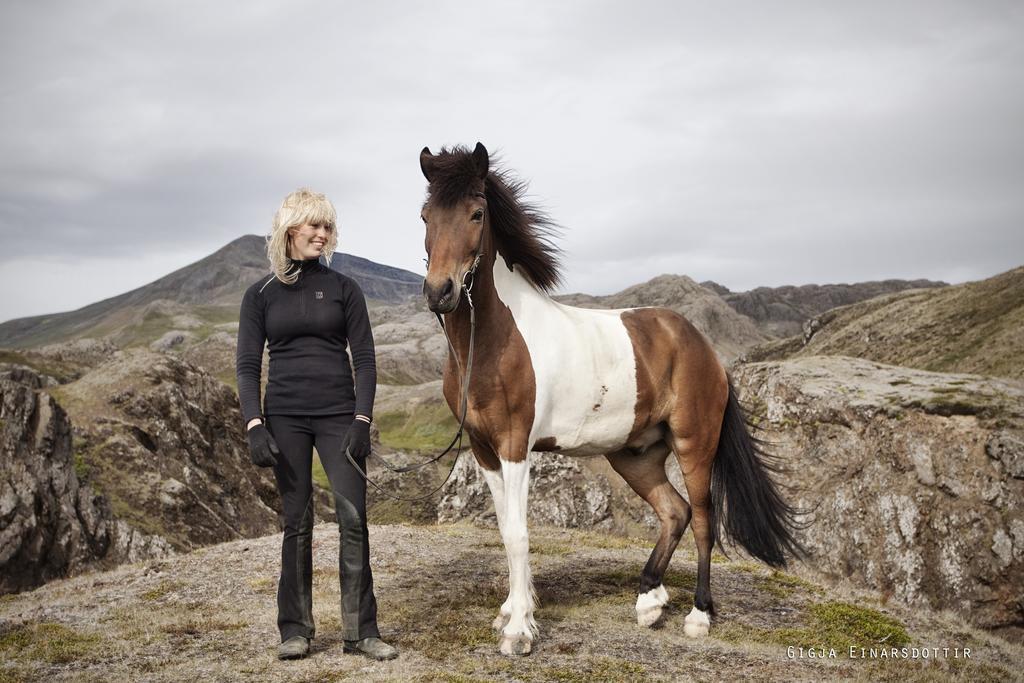 Hestaland Guesthouse Horse Farm Stay Statharhus Esterno foto