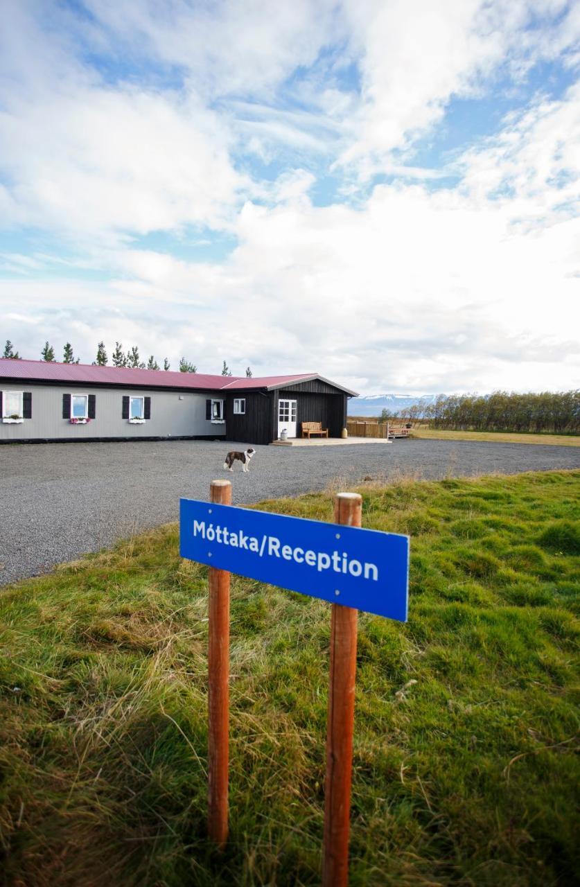 Hestaland Guesthouse Horse Farm Stay Statharhus Esterno foto